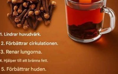 Den urgamla kryddan i ditt kök: 18 sätt som kryddnejlikete förbättrar hälsa, ämnesomsättning och livslängd”