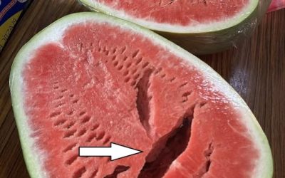 Du skar en vattenmelon och såg sprickor? Sluta äta den omedelbart! Här är vad det betyder! Se mer..👇👇