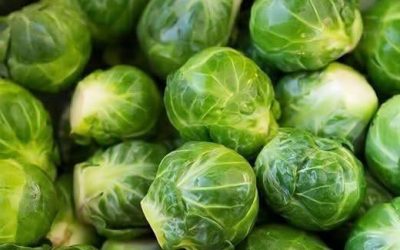 Ärligt talat, äter någon här faktiskt brysselkål?