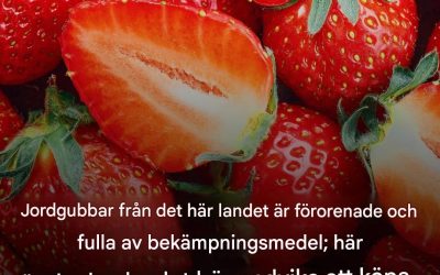 Jordgubbarna från det här landet bör definitivt undvikas…Se mer