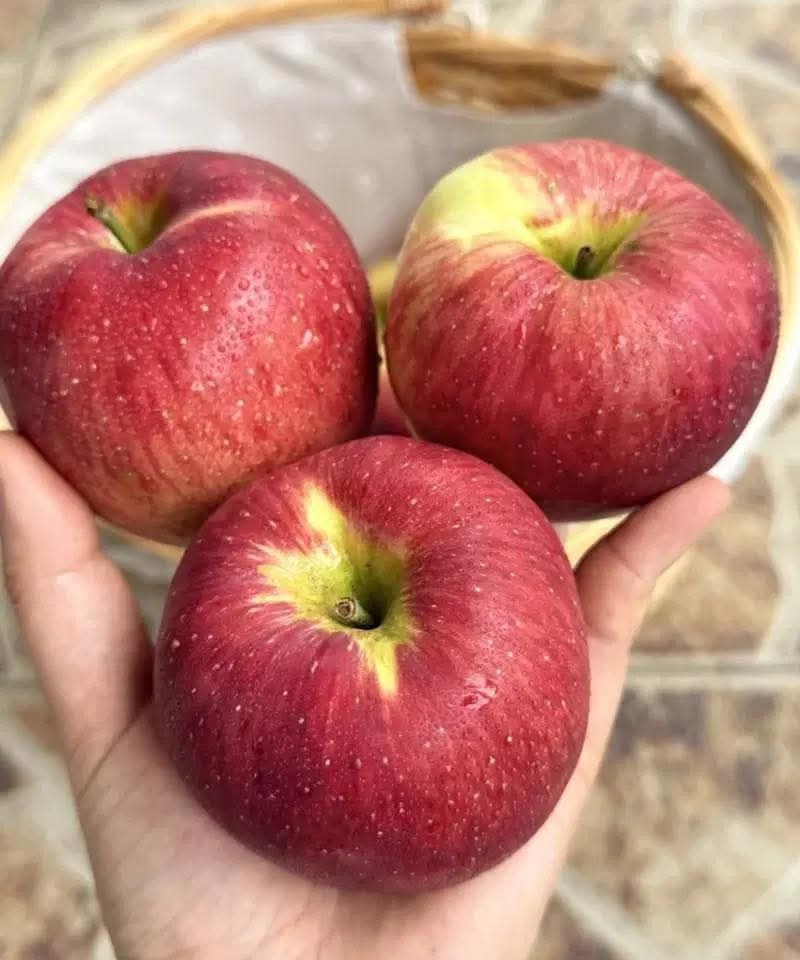 Läkare avslöjar att det har följande konsekvenser att äta ett äpple varje kväll…