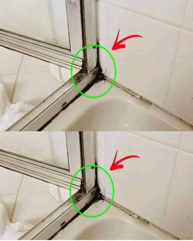 Det snabbaste sättet att bli av med silikonmögel i duschen