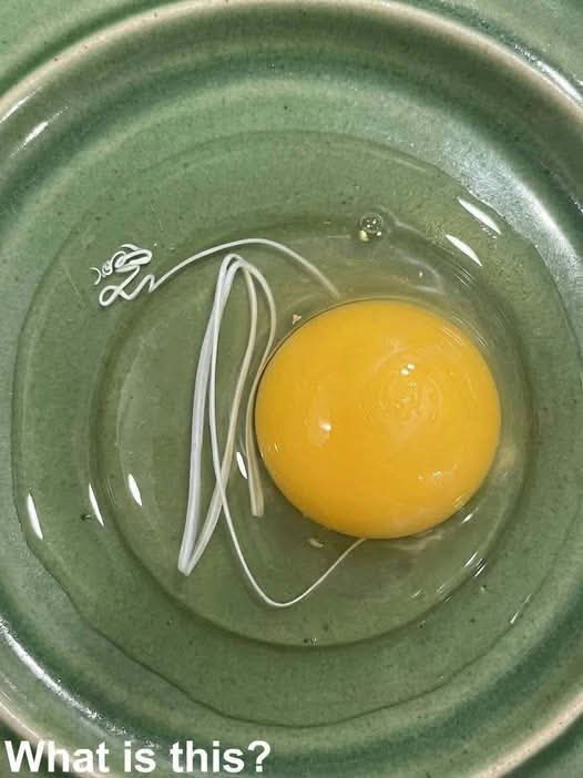 I morse vaknade jag och bestämde mig för att göra stekta ägg. När jag knäckte ett ägg i en tallrik kom det ut
