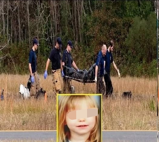 Den korta utflykten utlöste en bred reaktion i samhället