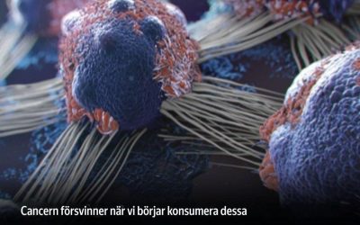 Topp 8 cancerbekämpande livsmedel: Dags att inkludera dem i din kost