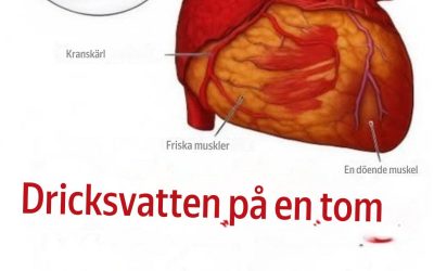Visste du att det kan vara bra att dricka vatten på tom mage… se mer👇